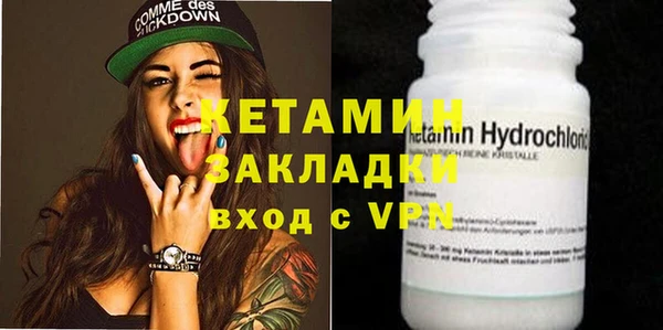шишки Кодинск