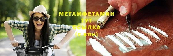 шишки Кодинск