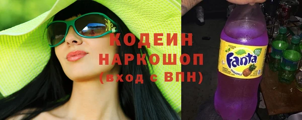 шишки Кодинск