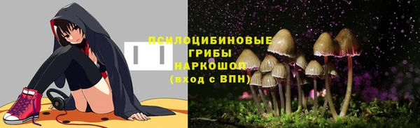 шишки Кодинск