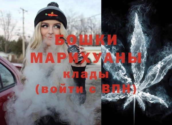 шишки Кодинск