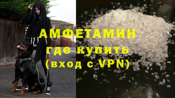 шишки Кодинск