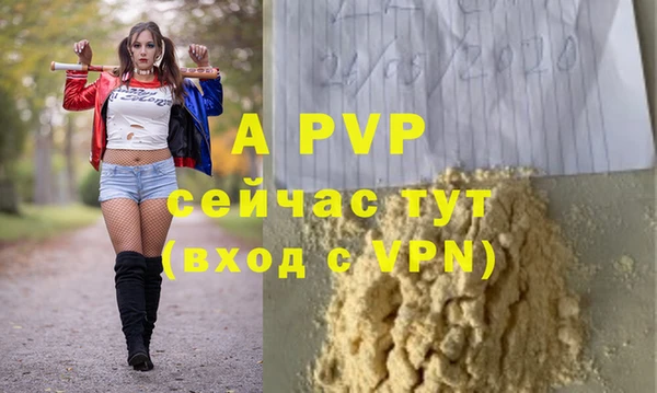 шишки Кодинск