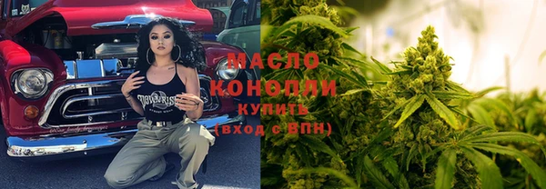 шишки Кодинск