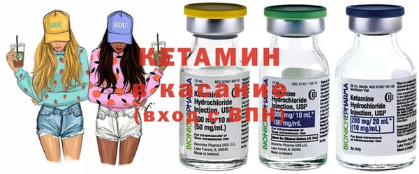 шишки Кодинск