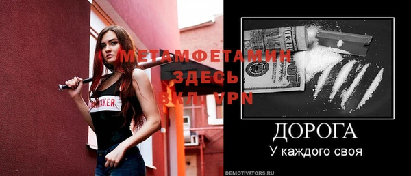 шишки Кодинск